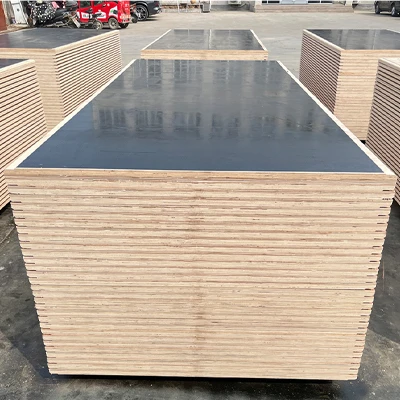Piese de containere de transport negru